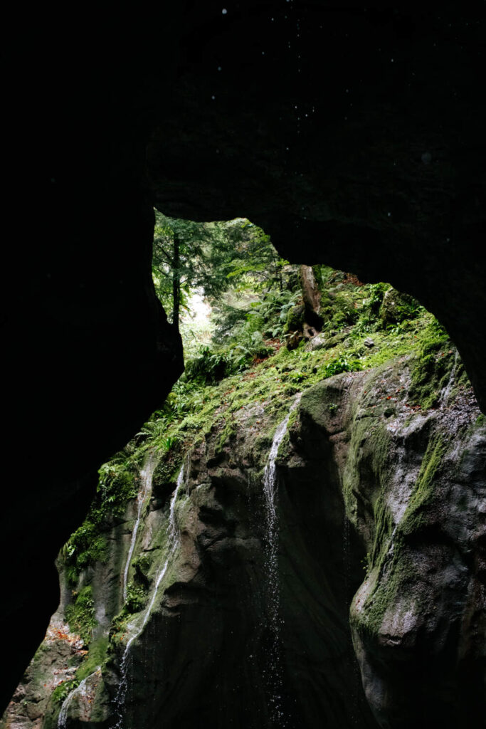 L'environnement des Gorges et revisité sous la pluie