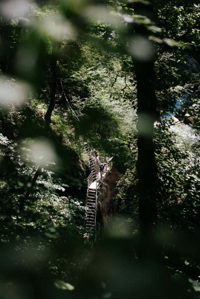 Traverser la foret de hêtre avant d'entrer dans les gorges